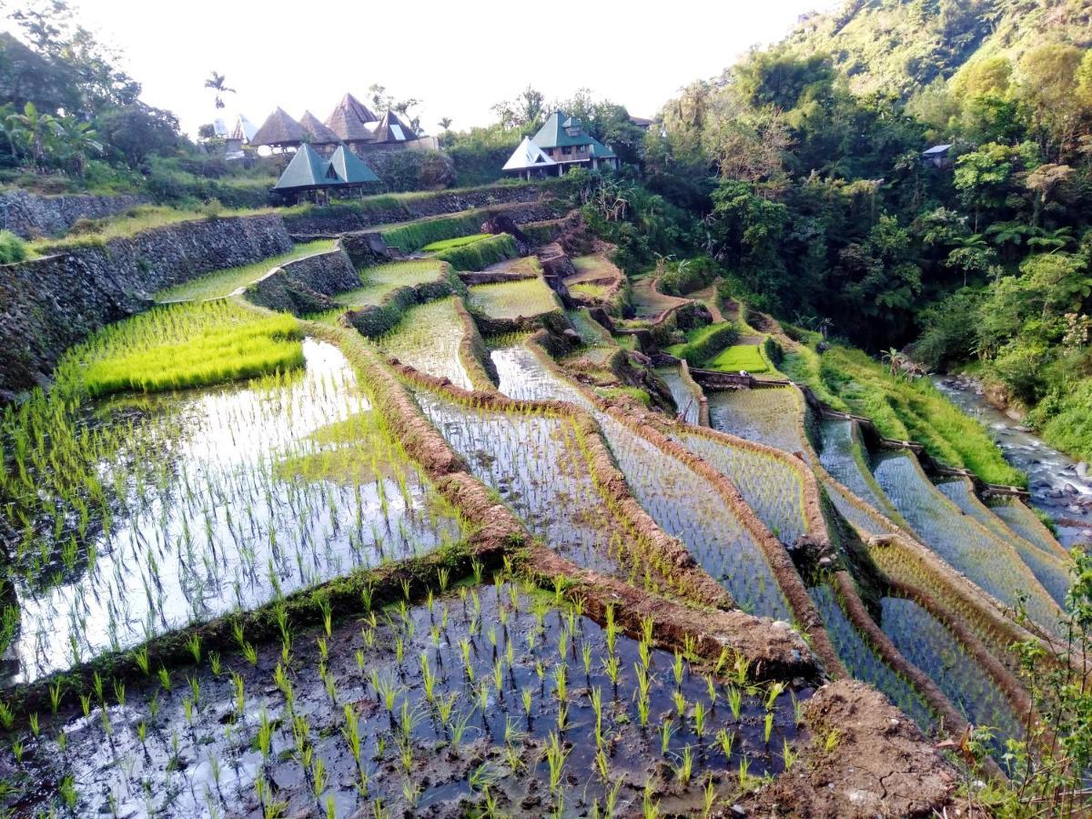 Bogah Lodge Banaue Zewnętrze zdjęcie