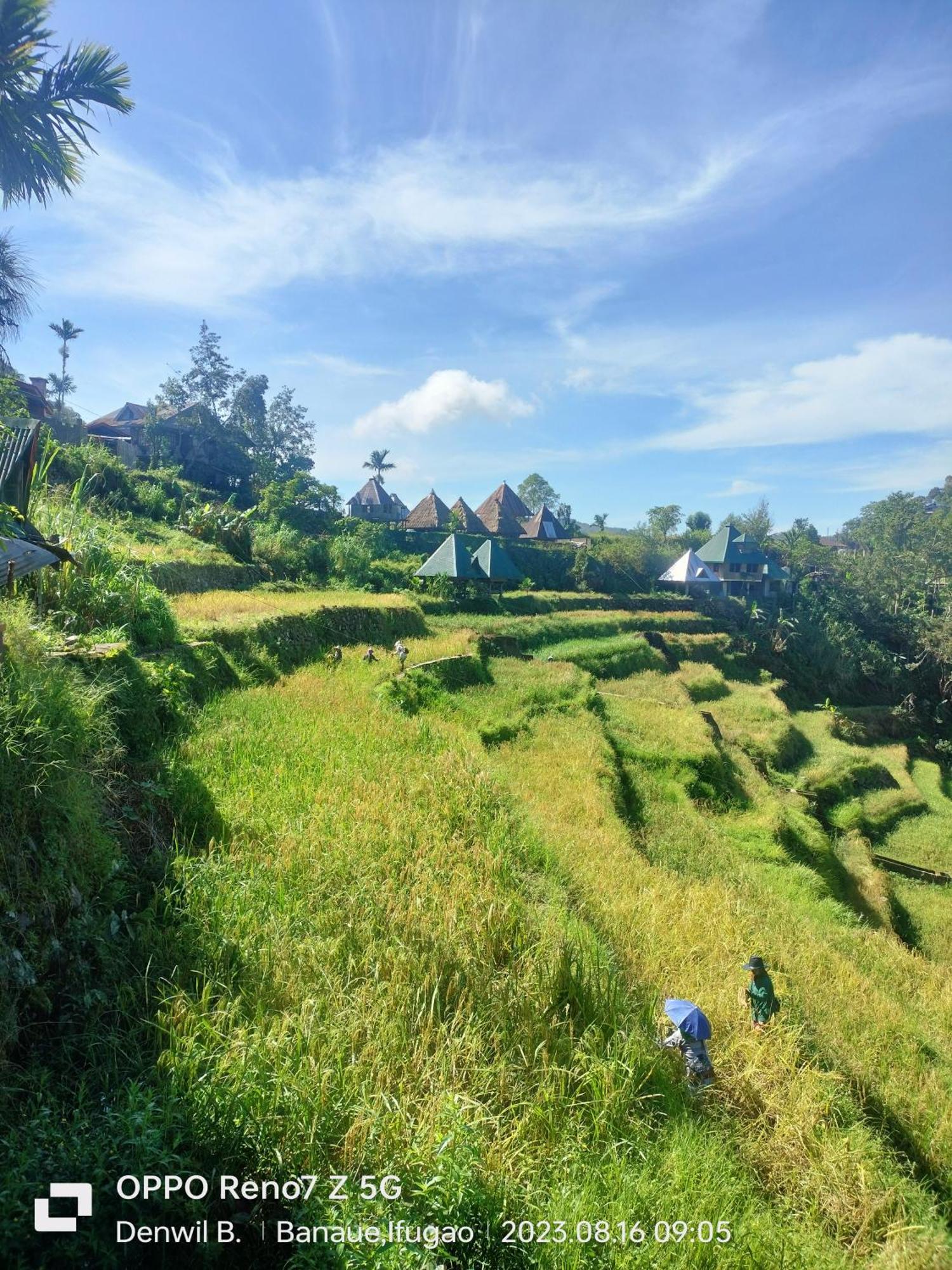 Bogah Lodge Banaue Zewnętrze zdjęcie