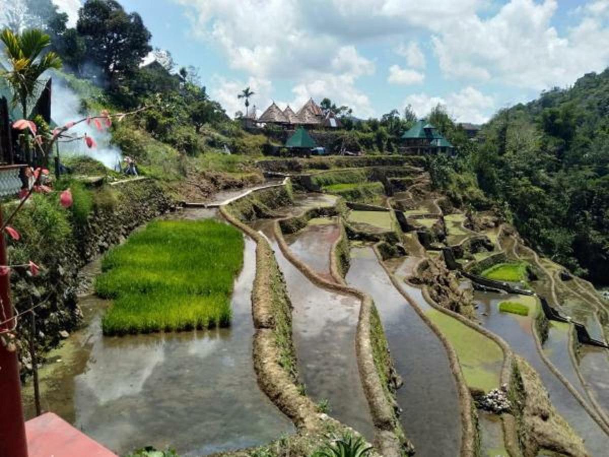 Bogah Lodge Banaue Zewnętrze zdjęcie